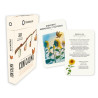 Juego de tarjetas. CON CALMA