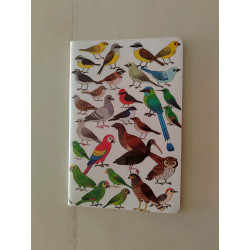 LIBRETA BLANCA SURTIDA. ILUSTRADA
