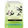 Juego. Escape from the EVIL GARDEN