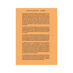 Libro. AUTOFICCIÓN. Una ingeniería del yo. Sergio Blanco