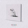 Libro Álbum. SACHA. Sozapato