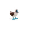 Títere. PIQUERO DE PATAS AZULES. ave