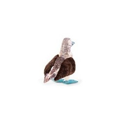 Títere. PIQUERO DE PATAS AZULES. ave