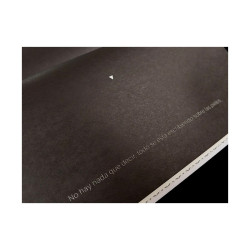 Libro. PASIVAS. Bitácora sexual. KIKUYO