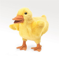 TÍTERE - PATO. ave
