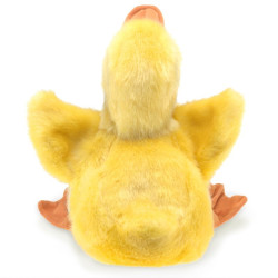 TÍTERE - PATO. ave
