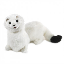 Títere. Armiño. ermine