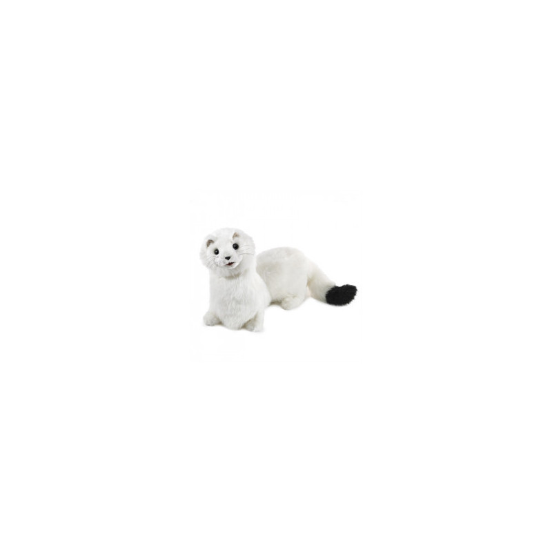 Títere. Armiño. ermine
