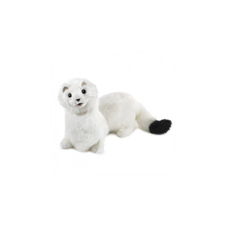 Títere. Armiño. ermine