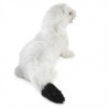 Títere. Armiño. ermine