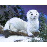 Títere. Armiño. ermine