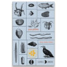 Libro. PAN PIEDRA. Laura Andrea Garzon