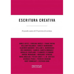 Libro. ESCRITURA CREATIVA - 20 GRANDES AUTORES Y 70 EJERCICIOS DE ESCRITURA