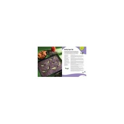 Libro. SCOOBY-DOO! and the ATACK of the SCOOBY SNACKS. An Official Cookbook