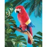 TÍTERE - GUACAMAYA
