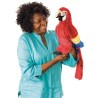 TÍTERE - GUACAMAYA