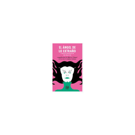Libro. EL ÁNGEL DE LO EXTRAÑO. CUENTOS FANTÁSTICOS DEL SIGLO XIX