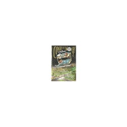 Libro. CUENTOS DE NOCHE. Relatos de Latinoamérica. Liniers