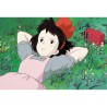 Caja de postales. STUDIO GHIBLI VOLUME 2