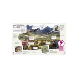 Libro. MI PRIMER ATLAS DE LOS ANIMALES