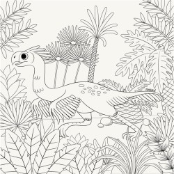 Libro de colorear. ¡ROAR! para colorear Raeioul