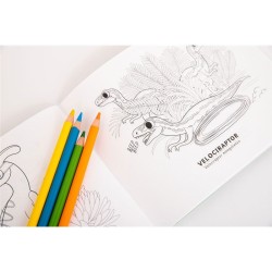 Libro de colorear. ¡ROAR! para colorear Raeioul