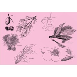 LIBRO. Recetario de sabores lejanos