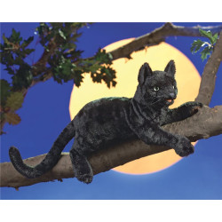 Títere. GATO NEGRO