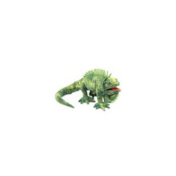TÍTERE - IGUANA
