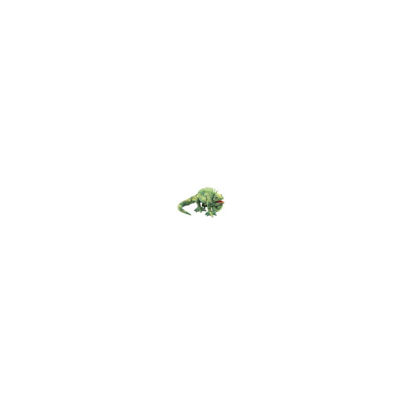 TÍTERE - IGUANA