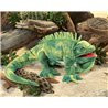 TÍTERE - IGUANA