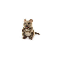 Títere. QUOKKA