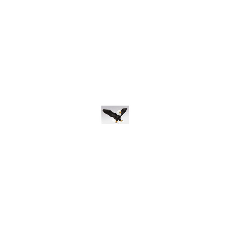 TÍTERE - ÁGUILA