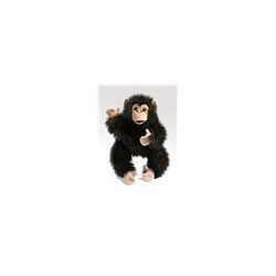 TÍTERE. CHIMPANCE BEBE