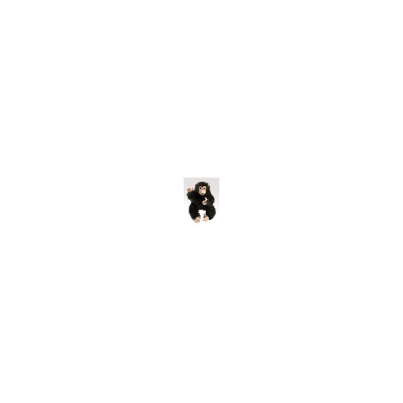 TÍTERE. CHIMPANCE BEBE