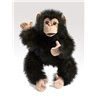 TÍTERE. CHIMPANCE BEBE
