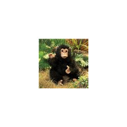 TÍTERE. CHIMPANCE BEBE