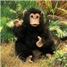 TÍTERE. CHIMPANCE BEBE