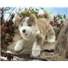 TÍTERE - LOBO SIBERIANO CACHORRO