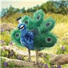 TÍTERE - PAVO REAL PEQUEÑO
