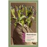 Libro. NATURALEZAS - Ralph Waldo Emerson