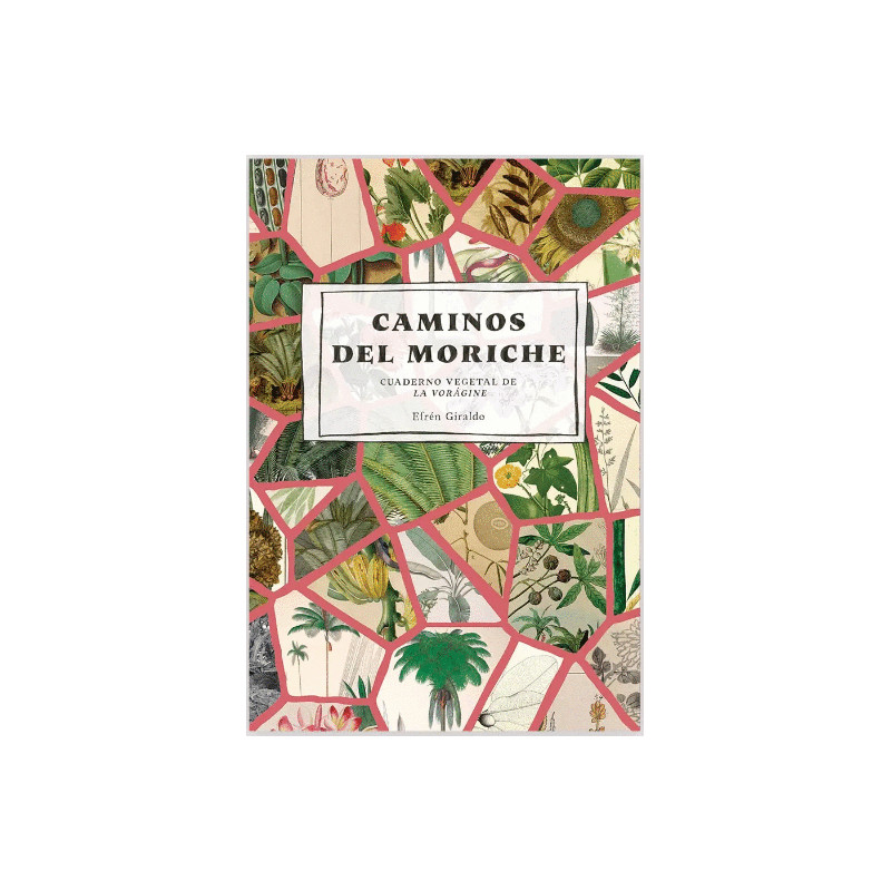 Libro. CAMINOS DEL MORICHE